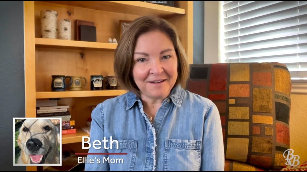 bed n biscuits testimonials video thumbnail