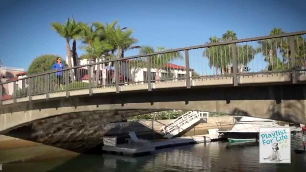 Book Promo Video – The Playlist for Life (Christie Miller)