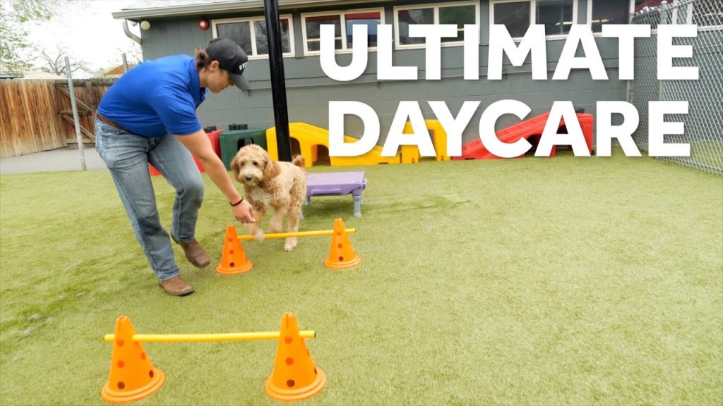 (Faceless) Service Video – Ultimate Daycare Enrichment Program
